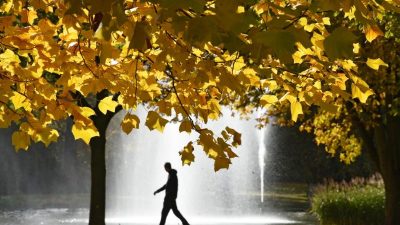 Meteorologen machen Hoffnung auf goldenes Oktoberwetter