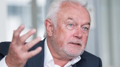 FDP-Politiker Kubicki könnte Grünen-Politiker Hofreiter „eine knallen“
