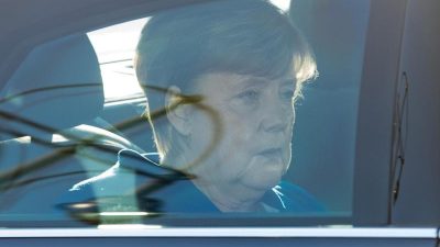 Politikberater Berger über Merkels Wirtschaftspolitik: „Sie hat einfach das Know-how nicht“
