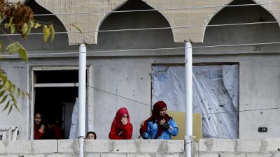 Grüne kritisieren AfD-Vorstoß zu Rückführungsabkommen nach Syrien