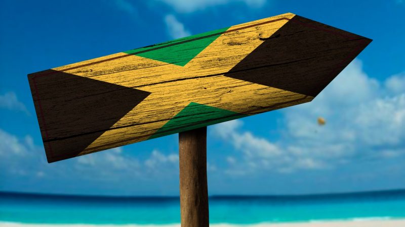 „Avocado-Runde“ aus FDP und Grünen bereitet sich auf mögliche Jamaika-Koalition vor