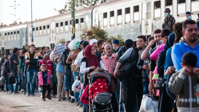 EKD-Vorsitzender Bedford-Strohm fordert Familiennachzug für Flüchtlinge