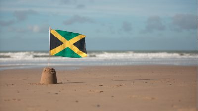 FDP-Vize Suding plädiert für Neuwahlen und Jamaika – ohne Merkel