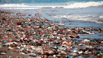 Niederländer will 60 Plastikmüll-Sammelstationen auf Ozeanen stationieren