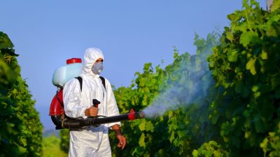 Bayer-Chef: Monsanto-Kauf „war und ist“ gute Idee