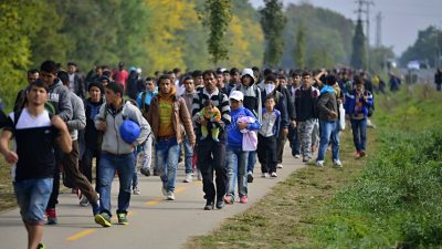 EU-Papier von 2010: Weitere 192 Millionen Migranten für Deutschland