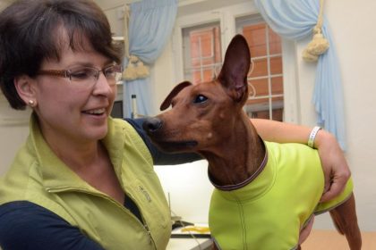 Das Mäntelchen für den Pinscher und der Bademantel für den Collie