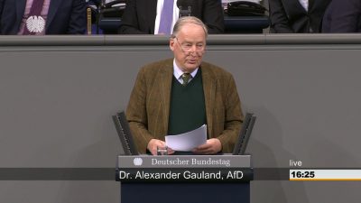 Gauland erntet Buhrufe im Bundestag: „Ja, Menschen können illegal sein“