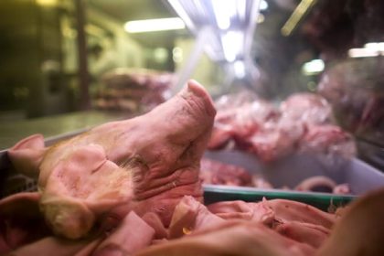 Unbekannte legen Schweinekopf vor Moschee in Mönchengladbach