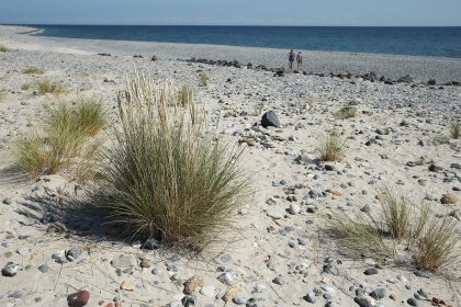 Auf jedem Sandkorn aus dem Meer leben bis zu 100.000 Bakterien