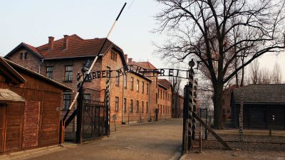 Gedenkstätte Auschwitz fordert Entfernung von Nazi-Büchern auf Plattform Amazon