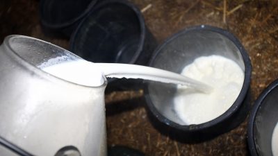 Deutsches Milchkontor rechnet wieder mit sinkenden Milchpreisen