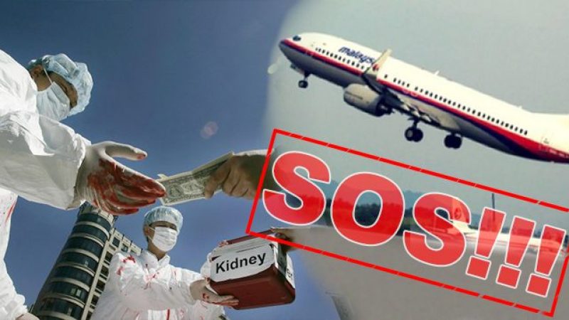 Was hat das Verschwinden des Flugs MH370 mit dem Organraub in China zu tun?