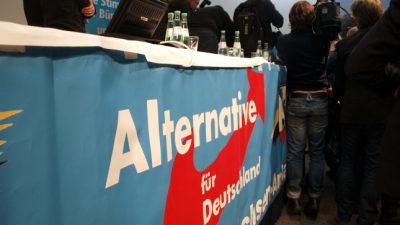 Karl Lagerfeld hat beim AfD-Wahlerfolg „beinahe einen Schlag gekriegt