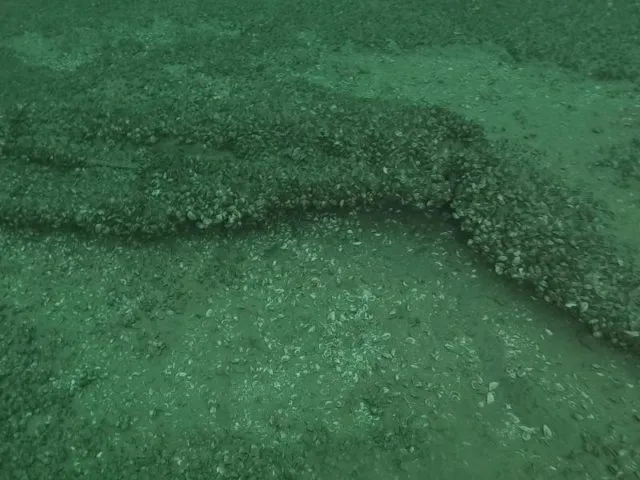 Überreste historischer Versuchsmodelle des Abfangjägers Avro Canada CF-105 Arrow liegen auf dem Seeboden des Ontariosees. Foto: Fraunhofer IOSB-AST/dpa/dpa