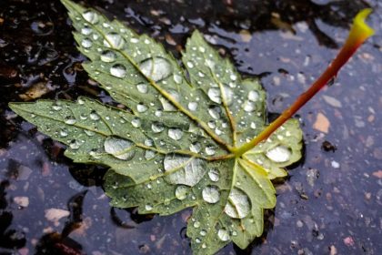 Schmuddelwetter zum Jahreswechsel