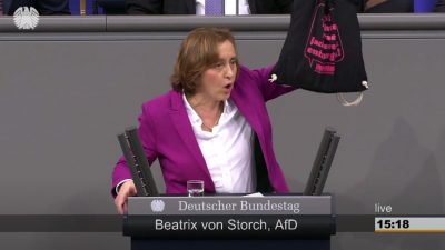 Paukenschlag im Bundestag: AfD-Vize von Storch nennt namentlich hohe Politiker, die offenbar linke Gewalt unterstützen