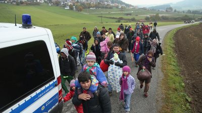 De Maizière: Zurückweisung von Migranten 2015 wäre möglich gewesen – doch Seehofer-Spruch war „ehrabschneidend“