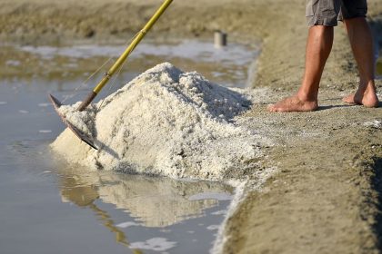 Mehr Rückstände von Mikroplastik in Fleur de Sel als im herkömmlichen Meersalz