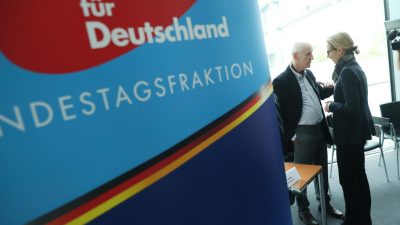 AfD erwägt neuen Kandidaten für Bundestagsvizepräsidentenamt