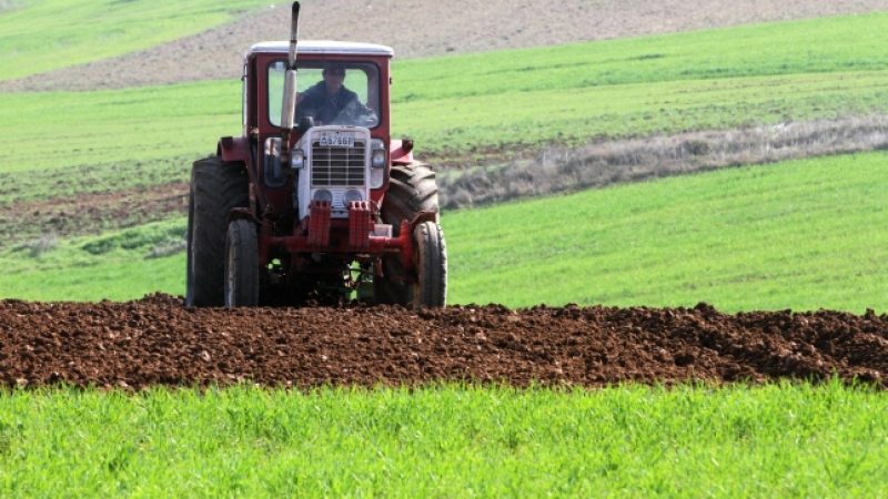 Ackerland in Ostdeutschland: Fremde Investoren kaufen den Bauern das Land weg