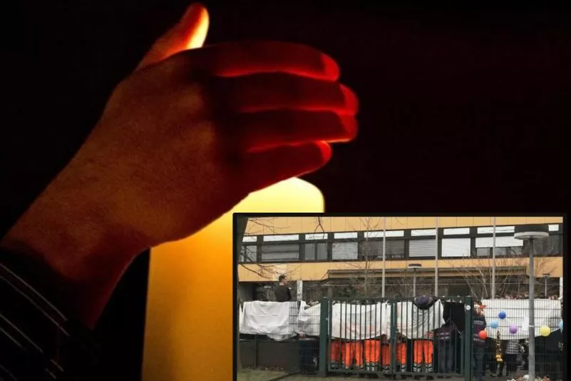 top-article-image