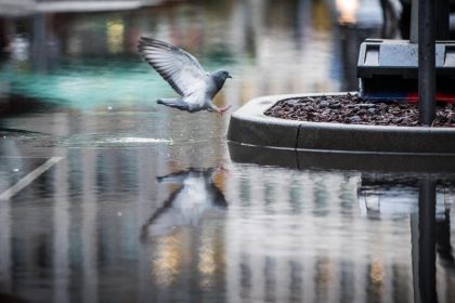 Ruhige Nacht nach „Burglind“ – Regenfälle und Tauwetter halten an