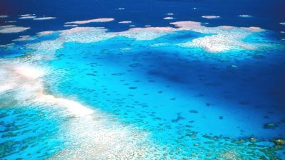 Wettbewerb zur Rettung des Great Barrier Reef ausgelobt