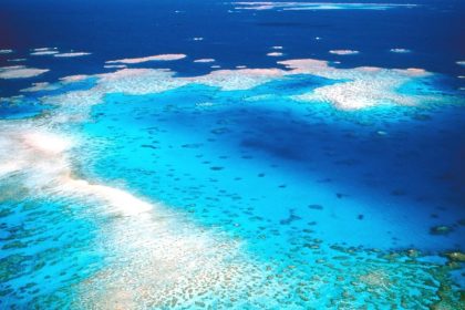 Wettbewerb zur Rettung des Great Barrier Reef ausgelobt