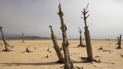 Umweltorganisationen warnen vor Verschärfung von Wasserkrise