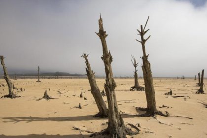 Umweltorganisationen warnen vor Verschärfung von Wasserkrise