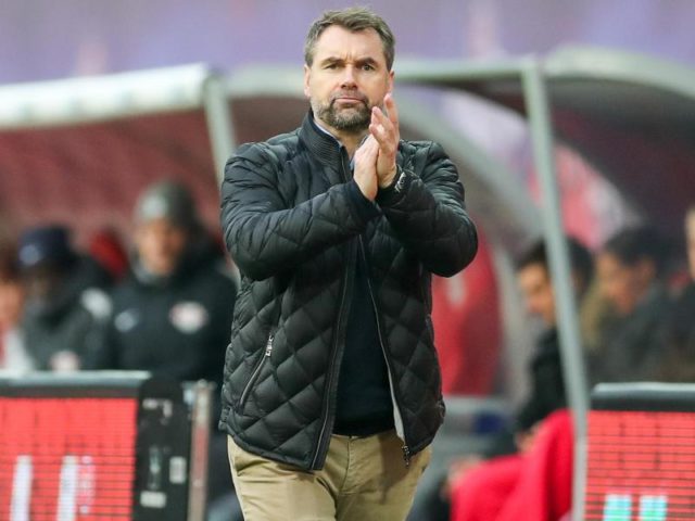 Punktgewinn in Leipzig für Hamburgs Trainer Bernd Hollerbach bei seinem Debüt als HSV-Cheftraner. Foto: Jan Woitas/dpa