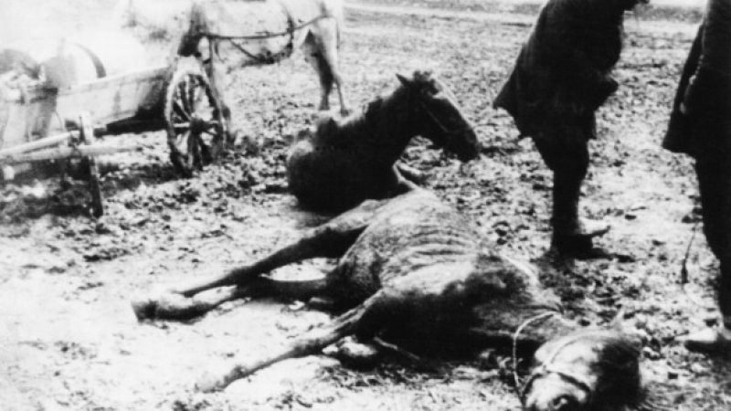 Moskau empört über Einstufung von „Holodomor“ als Völkermord durch Frankreich
