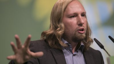 Anton Hofreiter will mehr Kapitalismuskritik von den Grünen