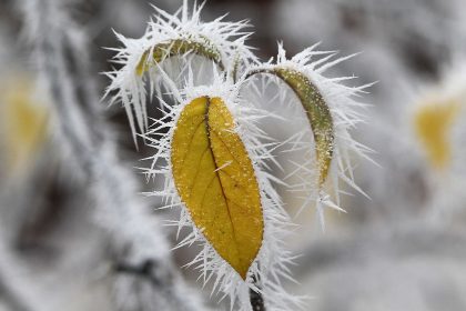 Deutschland erlebt die bisher wohl kälteste Nacht des Winters – und mehr als 100 Verkehrsunfälle
