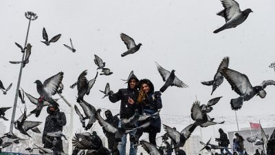 Singvögel bei Frost füttern – Eichhörnchen nicht