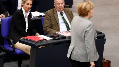 AfD nennt Merkel-Entscheidung „gute Nachricht“ und fordert Abgang als Kanzlerin