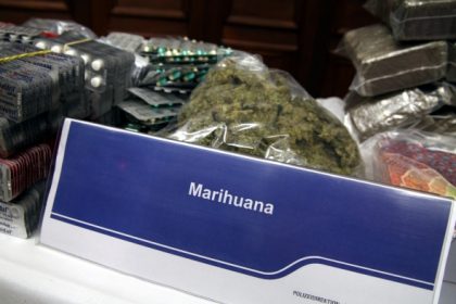 Berliner Zollfahnder beschlagnahmen 240 Kilogramm Marihuana