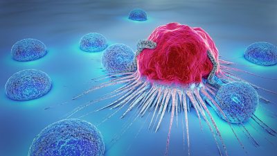 T-Zellen bei Geimpften oder Genesenen schützen vor Omikron-Variante