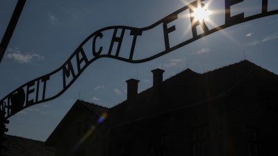 Polens Holocaust-Gesetz tritt in Kraft – Polnische Delegation in Israel will es erklären