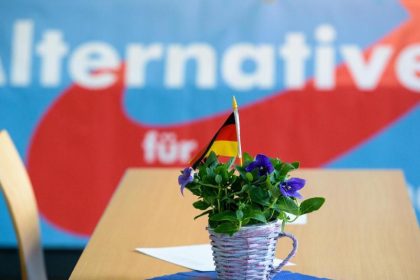 “Die Neudeutschen”: AfD-Politiker mit Migrationshintergrund wollen Verein gründen