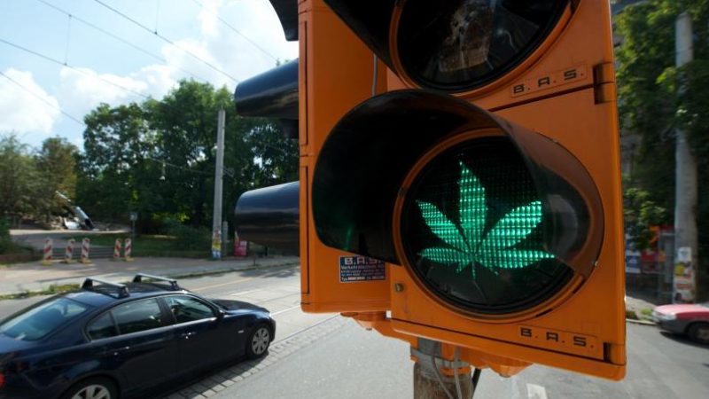 Kriminalbeamtenverband fordert ein Ende des Cannabis-Verbots