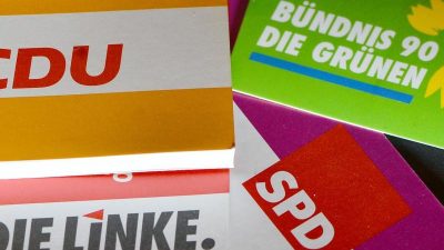 Wahlumfrage: Union bei 29, die SPD bei 17 Prozent