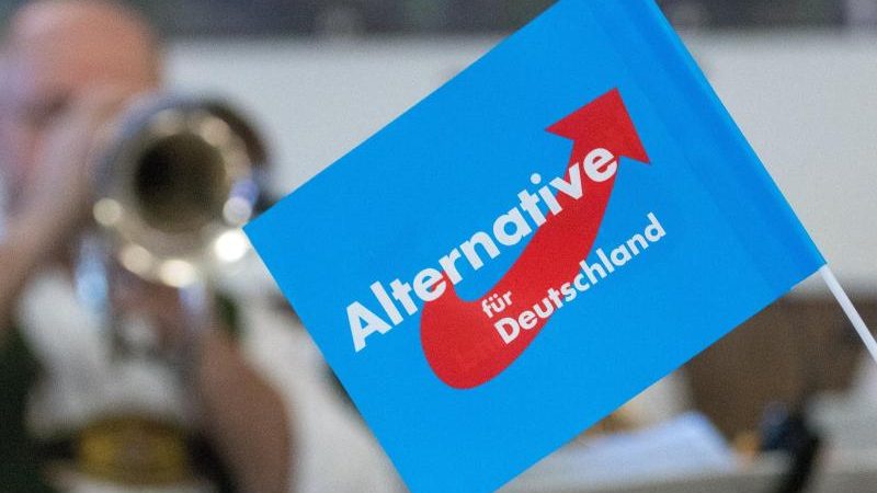 „Total überzogen“: Niedersachsens AfD-Chefin kritisiert Verfassungsschutz-Beobachtung