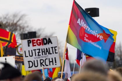 Zwei Seiten derselben Medaille: Prof. Werner J. Patzelt zum Verhältnis von AfD und Pegida