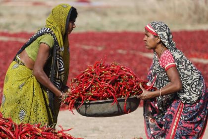„Gender Mainstreaming“ und die Rolle der UNO (Teil 2)