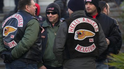 Sieben Festnahmen bei Razzia gegen Hells Angels in Belgien