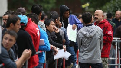 AfD beklagt starke Einwanderung in Sozialsysteme – Rund eine Million Ausländer erhalten Hartz IV