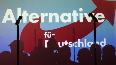 Parteienforscher: Asyldebatte hilft eher der AfD