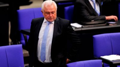 AfD stellt Strafanzeige gegen Bundestagsvizepräsident Kubicki